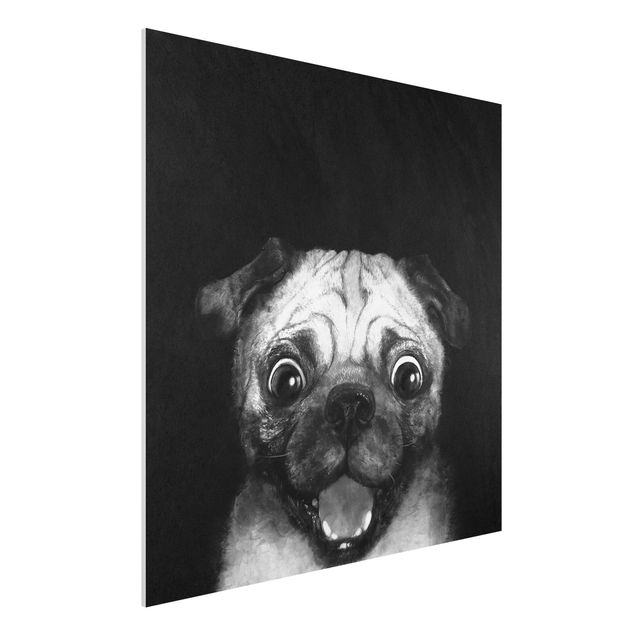 Stampa su Forex - Illustrazione Pug Dog Pittura Su Bianco e nero - Quadrato 1:1