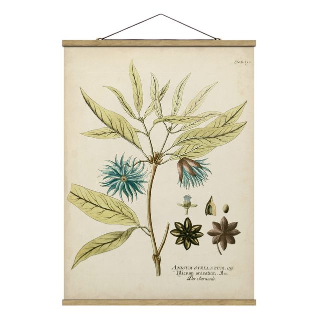 Foto su tessuto da parete con bastone - Vintage Botanica In Blue Star Anise - Verticale 4:3