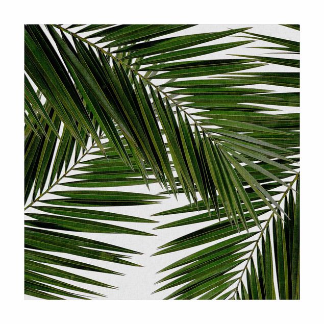 Tappeti giungla Vista attraverso le foglie di palma verde