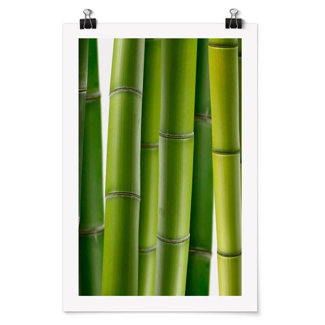 Poster - piante di bambù - Verticale 3:2