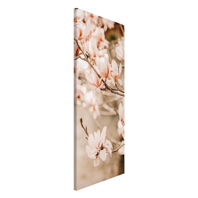 Lavagna magnetica per ufficio Ramoscello di magnolia in stile vintage