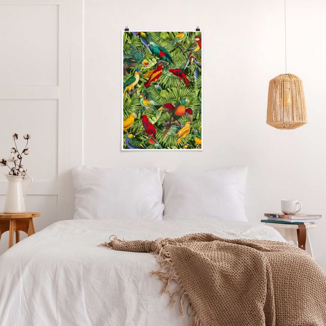 Poster illustrazioni Collage colorato - Pappagalli nella giungla