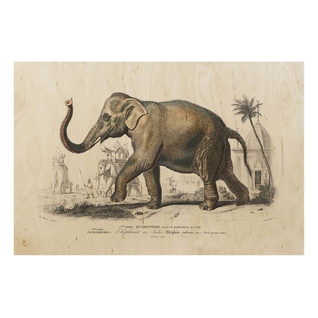 Stampa su legno - Vintage Consiglio Elephant - Orizzontale 2:3