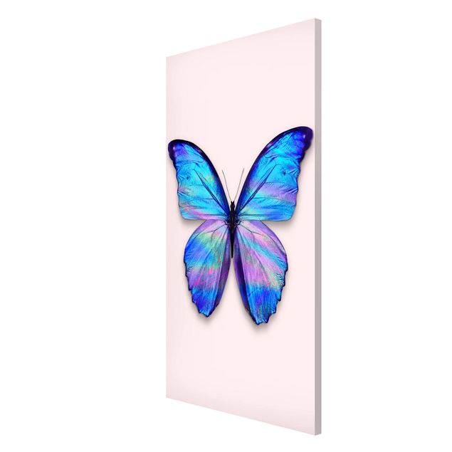 Lavagna magnetica - Holographic farfalla - Formato verticale 4:3