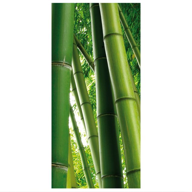 Tenda a pannello Bamboo Trees No.1 250x120cm