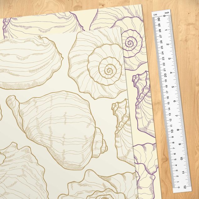Pellicola adesiva - Conchiglie marine - Disegno in 2 colori