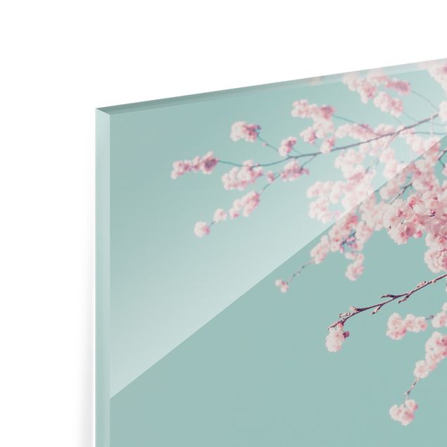 Paraschizzi in vetro - Fiore di ciliegio giapponese - Formato orizzontale 3:2