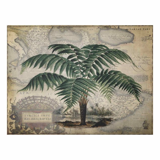 Stampa su alluminio spazzolato - Vintage Collage - Palm e mappa del mondo - Orizzontale 3:4