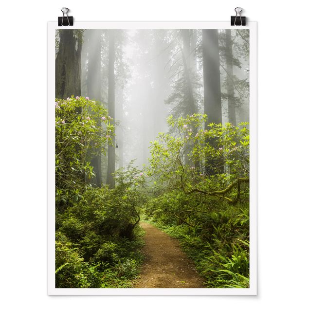 Poster - Percorso Misty Foresta - Verticale 4:3