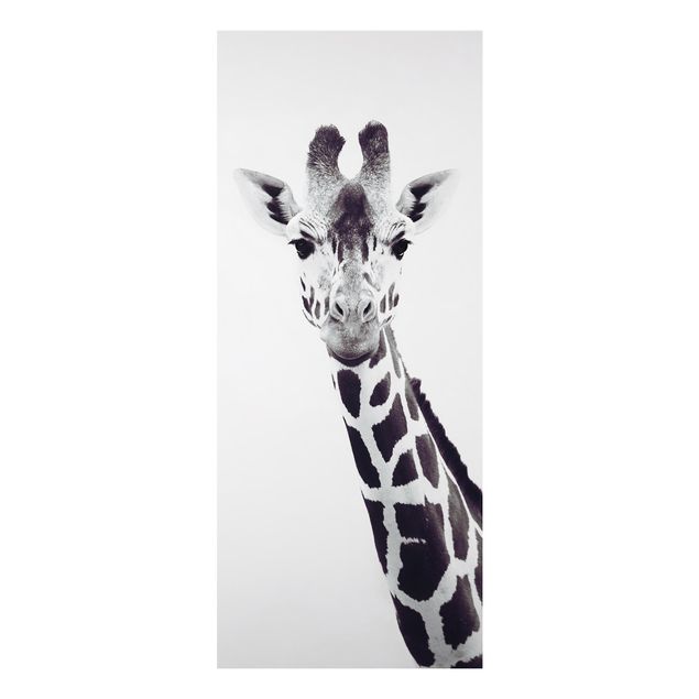 Stampa su alluminio - Ritratto di giraffa in bianco e nero
