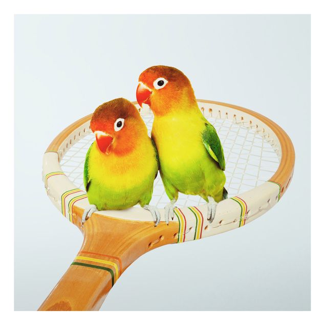 Stampa su alluminio - Tennis Con Uccelli - Quadrato 1:1