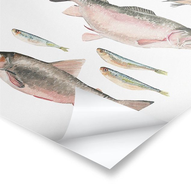Poster - Seven Fish in acquerello I - Verticale 4:3