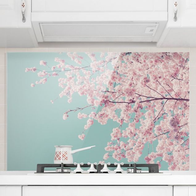 paraschizzi in vetro magnetico Fiore di ciliegio giapponese