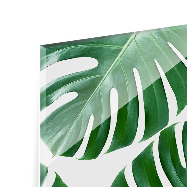 Paraschizzi in vetro - Tropical Green Leaves Monstera