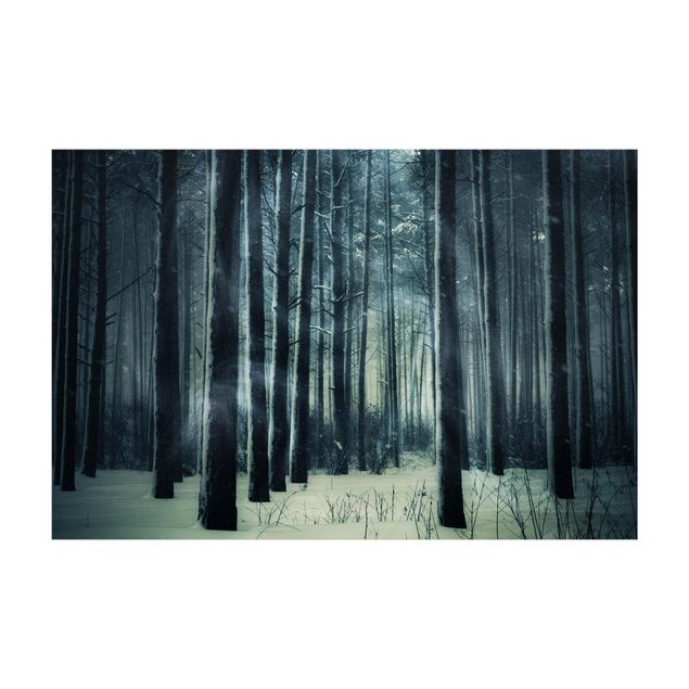 Tappeti foresta Foresta invernale mistica