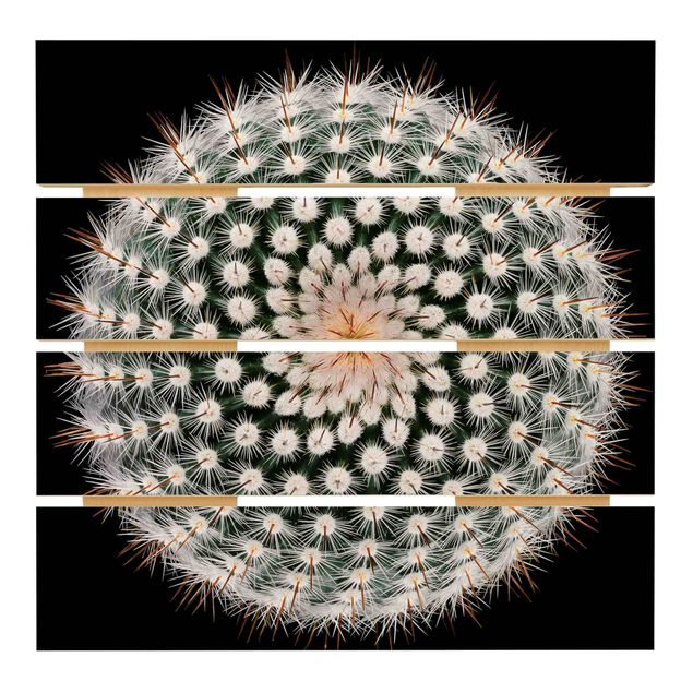 Stampa su legno - Fiore di cactus - Quadrato 1:1