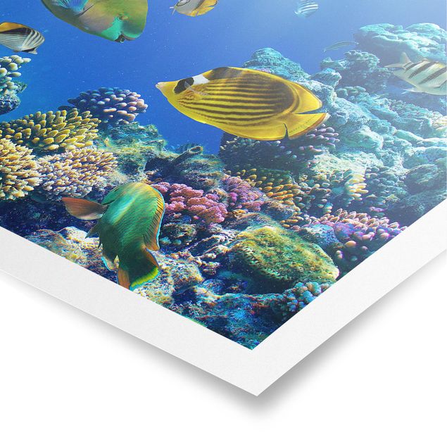 Poster - Underwater Lights - Orizzontale 2:3