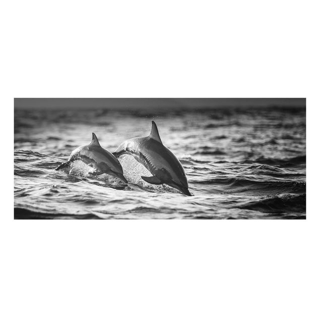 Quadro in forex - Due delfini che saltano - Panoramico