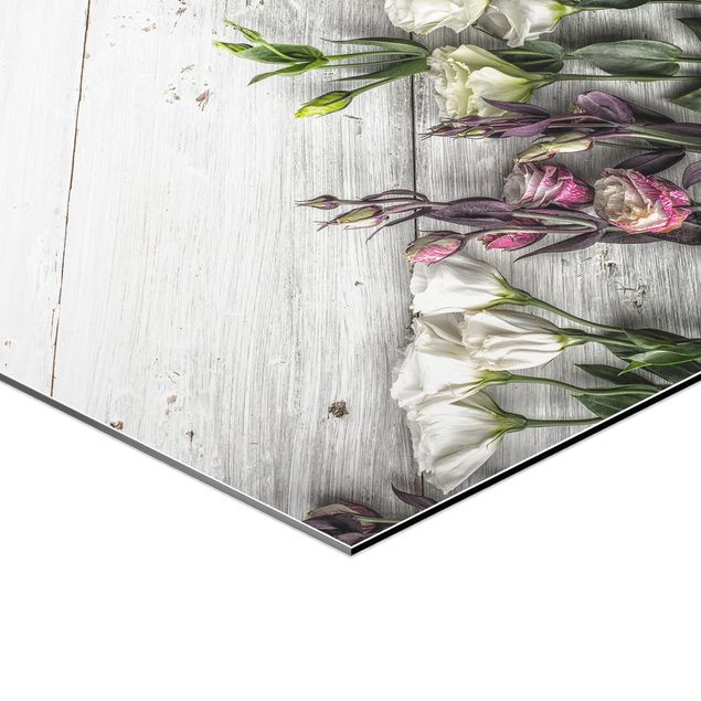 Esagono in Alluminio Dibond - Tulip Rose Shabby Woodlook