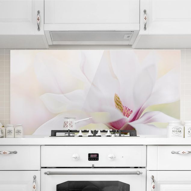 paraschizzi cucina vetro magnetico Delicato fiore di magnolia
