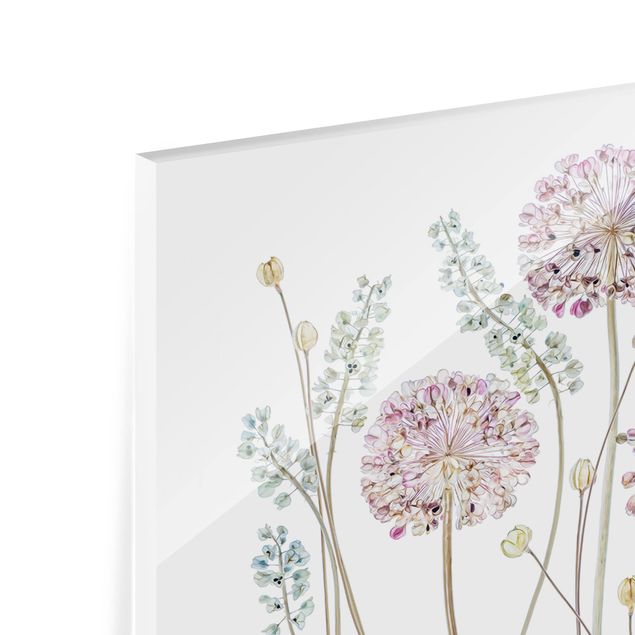 Paraschizzi in vetro - Allium Illustration