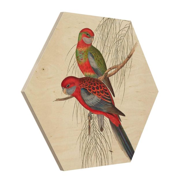 Esagono in legno - Tropical Parrot III