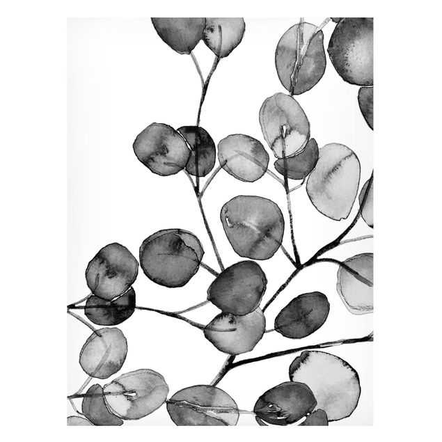 Lavagna magnetica nero Acquerello di ramoscelli di eucalipto in bianco e nero