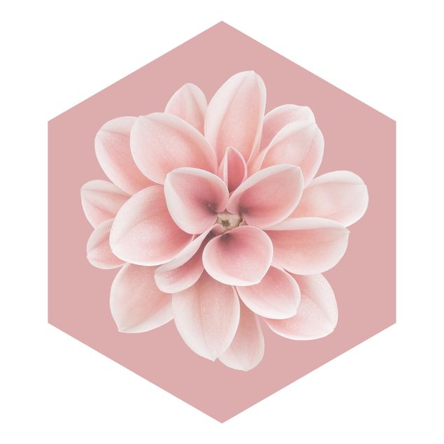 Carta da parati esagonale adesiva con disegni - Dalia su blush rosa