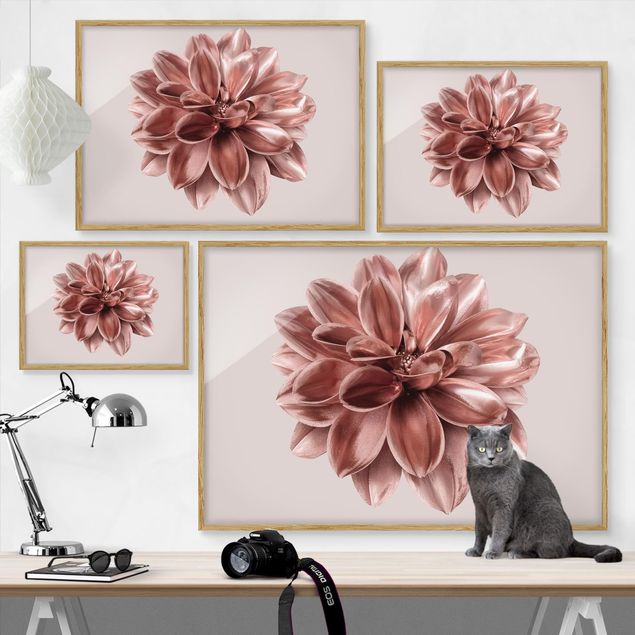 Poster con cornice - Fiore dalia in oro rosa metallico