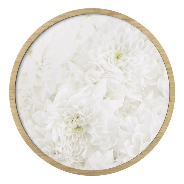 Quadro rotondo incorniciato - Mare floreale di dalie bianco