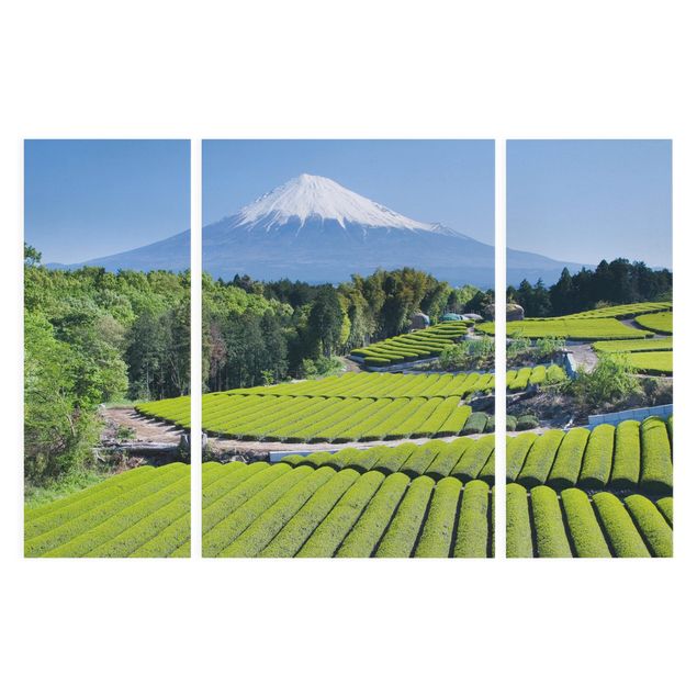 Stampa su tela 3 parti - Tea Fields In Front Of The Fuji - Trittico