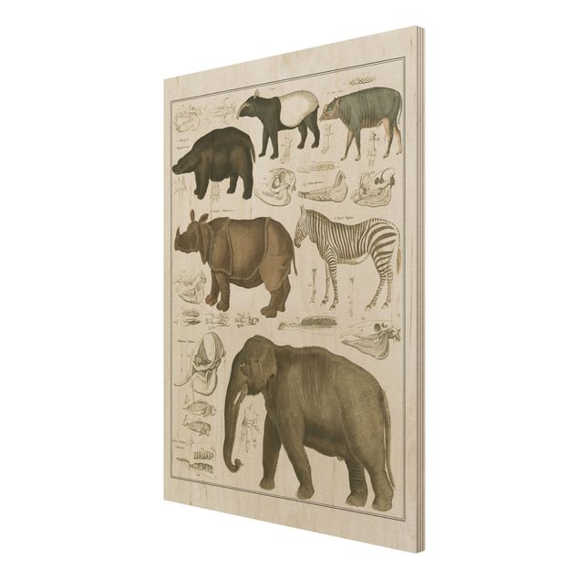 Stampa su legno - Vintage Consiglio elefanti, zebre e Rhino - Verticale 4:3