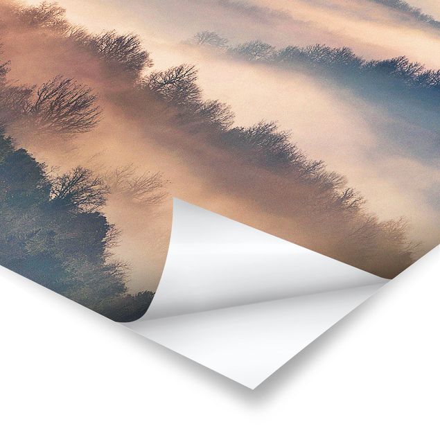 Poster - Nebbia al tramonto - Quadrato 1:1