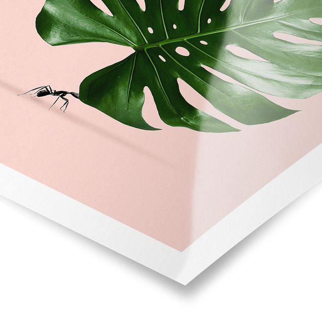 Poster - Jonas Loose - Ant con Leaf Monstera - Verticale 3:2
