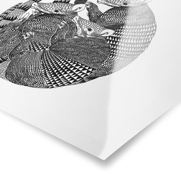 Poster - Illustrazione del modello Armadillos Bianco e nero - Orizzontale 3:4