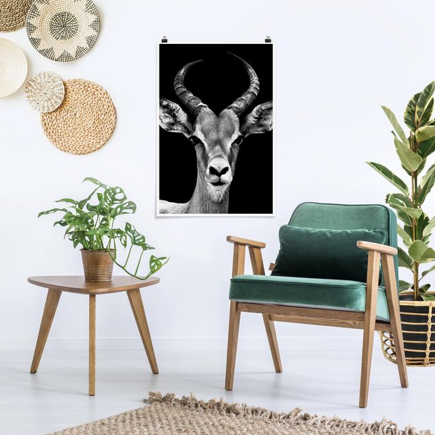 Philippe Hugonnard quadri Antilope Impala in bianco e nero