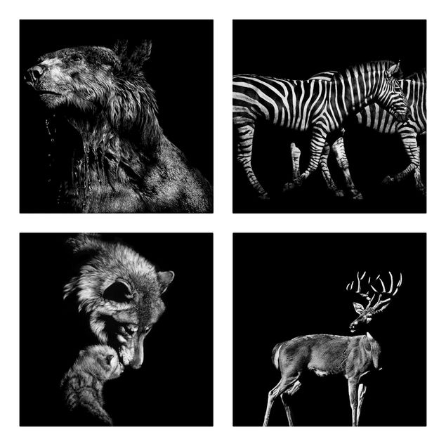 Stampe su tela bianco e nero Animali selvatici dal nero Set I