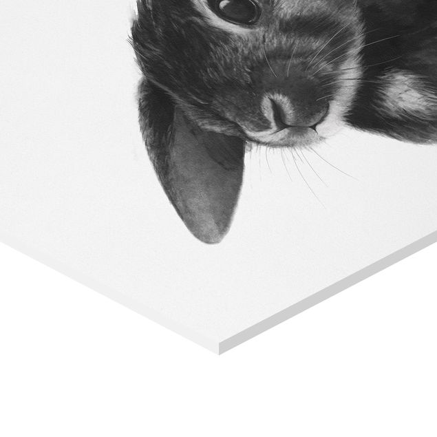 Esagono in forex - Illustrazione Coniglio bianco e nero Disegno
