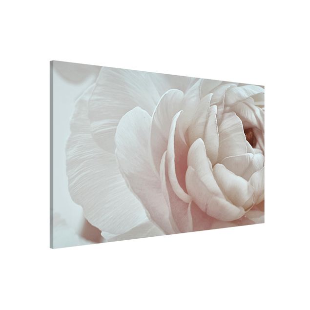 Lavagna magnetica per ufficio Fiore bianco in un oceano di fiori