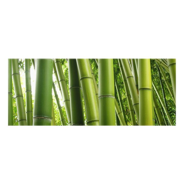 Paraschizzi in vetro - Bamboo Trees