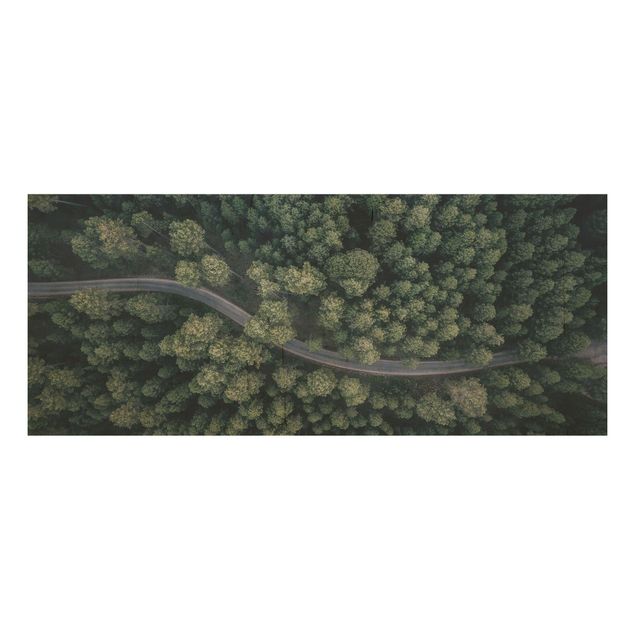 Quadro in legno - Veduta aerea - Forest Road From The Top - Panoramico