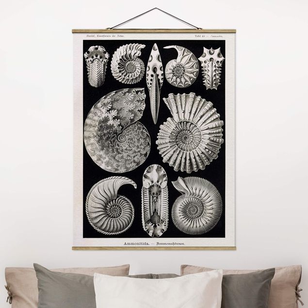 stampe animali Bacheca Vintage Fossili in bianco e nero