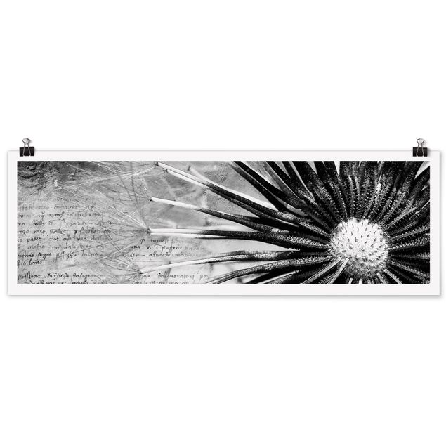 Poster - Dandelion Black & White - Panorama formato orizzontale