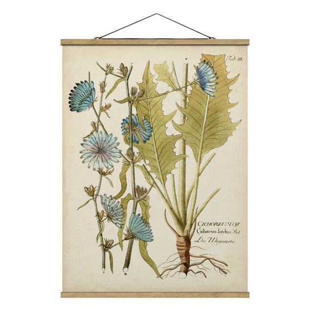 Foto su tessuto da parete con bastone - Vintage Botanica In Blue Cicoria - Verticale 4:3