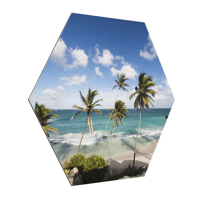 Esagono in Alluminio Dibond - Spiaggia Di Barbados