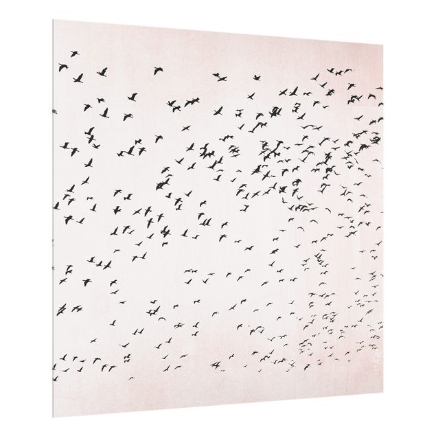 Paraschizzi in vetro - Stormo di uccelli al tramonto - Quadrato 1:1