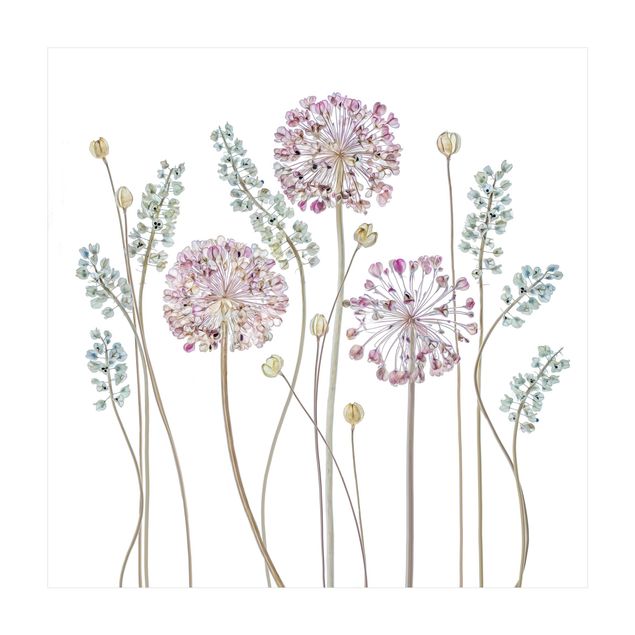 Tappeti color pastello Illustrazione di Allium