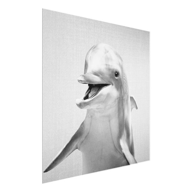 Quadro in vetro - Delfino Diddi in bianco e nero