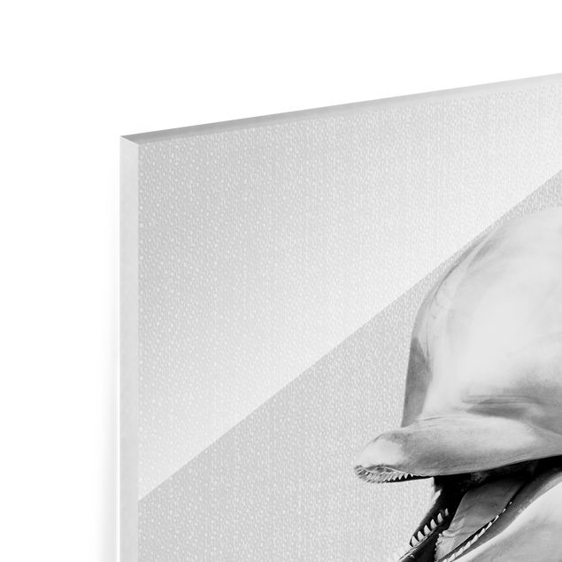 Quadro in vetro - Delfino Diddi in bianco e nero