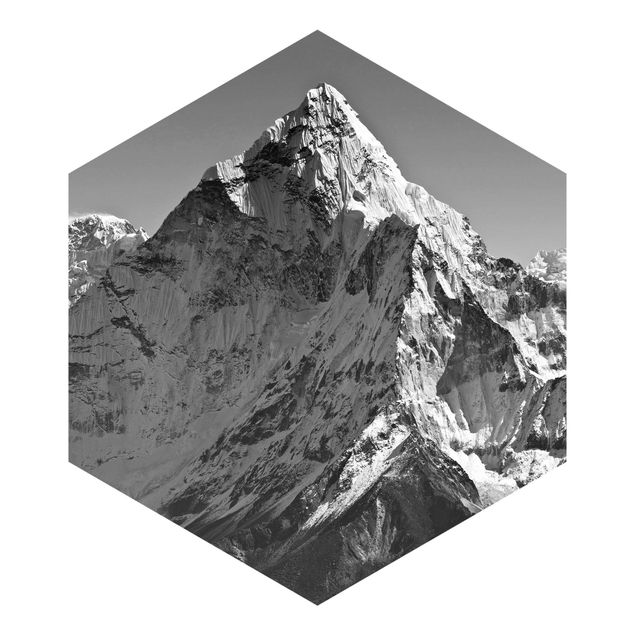 Carta da parati esagonale adesiva con disegni - L'Himalaya II